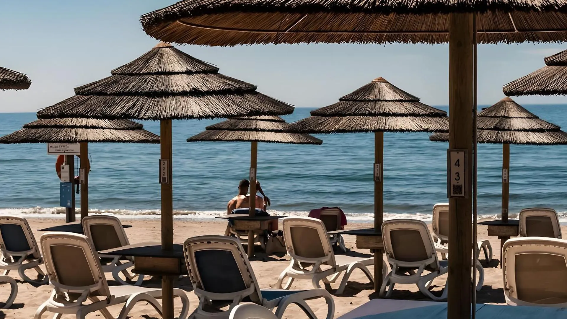 Piso En Primera Linea De Playa location